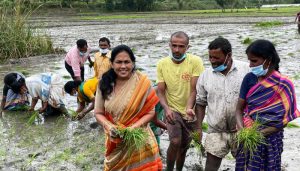 shobha karandlaje