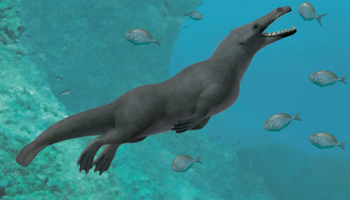 ancient whale that had four legs