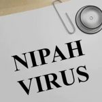 nipah virus