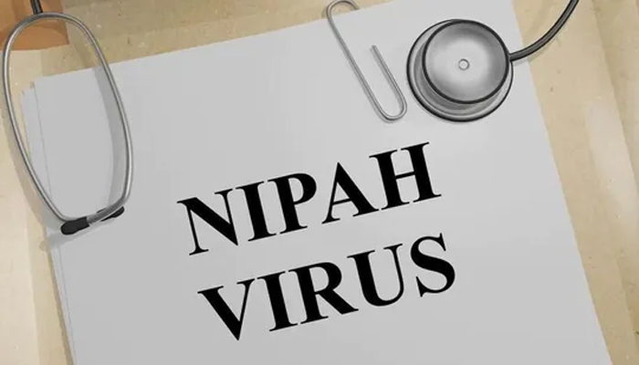 nipah virus