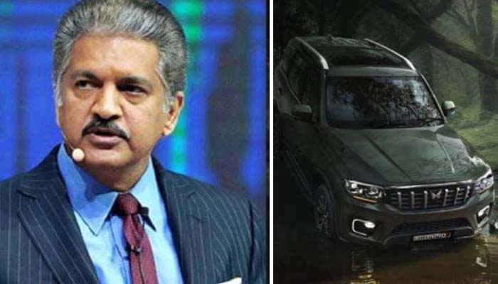 anand mahindra