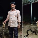 snek prakash