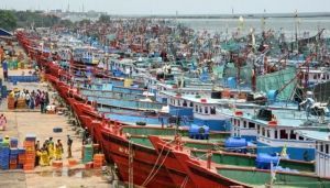 fishing boats