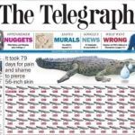 the telegraph