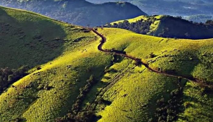 western ghats