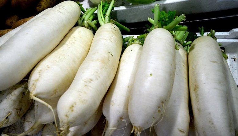 radish