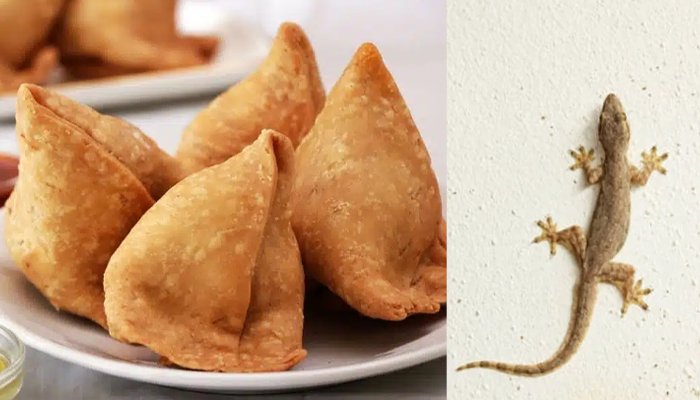 samosa